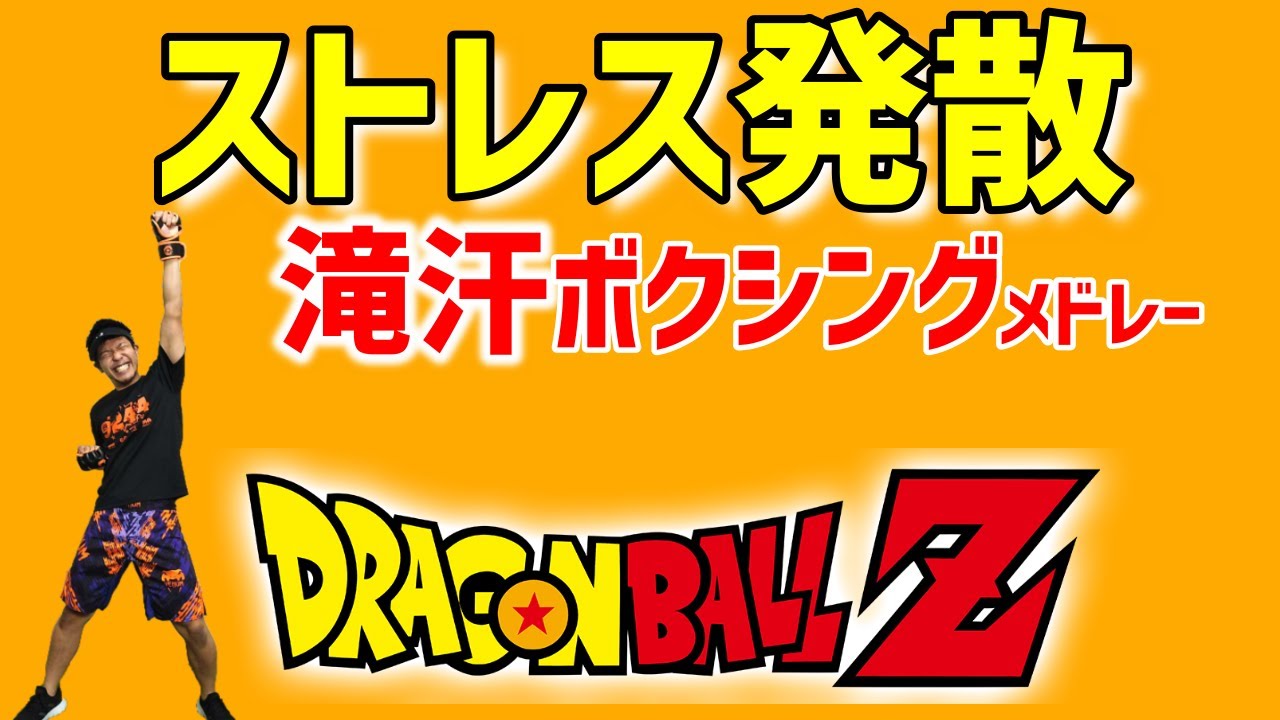 [ ボクササイズ ] 音楽に合わせて有酸素運動！[ 痩せるダンス で ダイエット ]