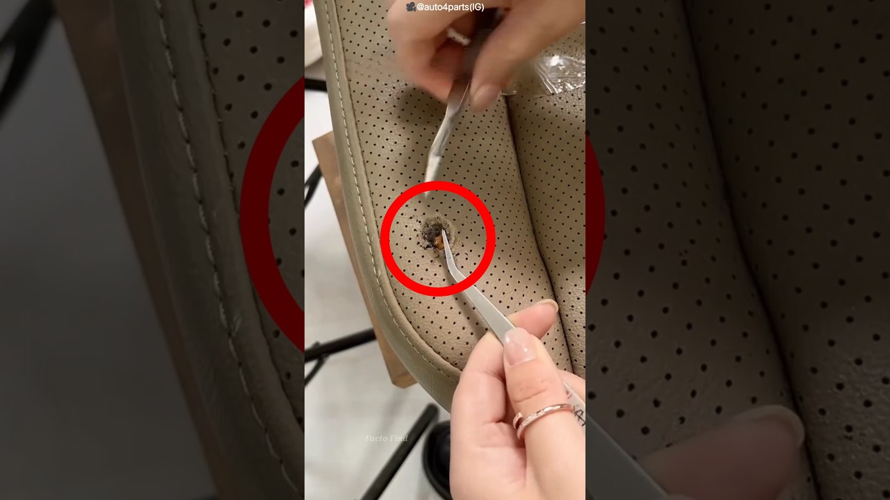 He Accidentally Burned the Sofa&hellip; Then Fixed It! 😱 #shorts #facts