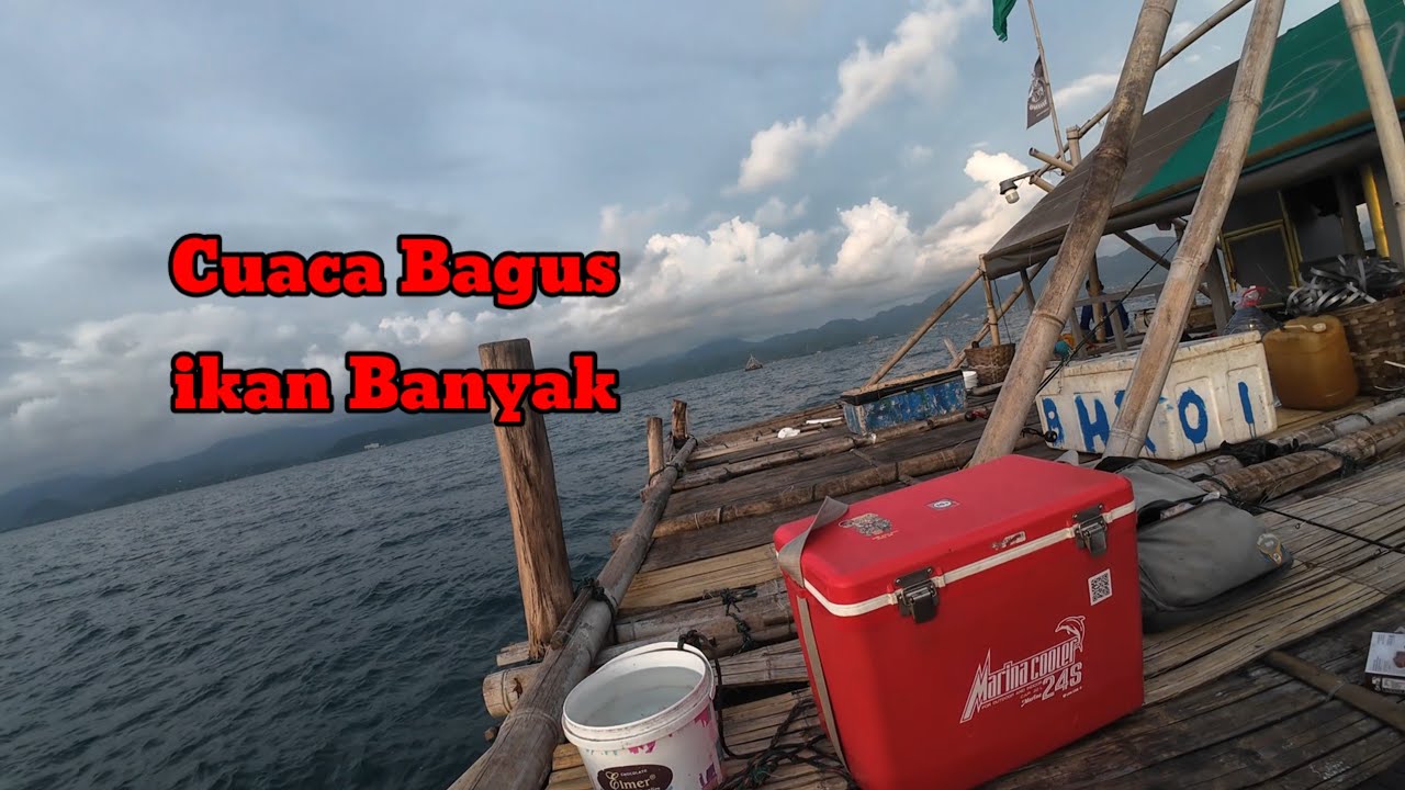 Mancing di bagan apung / badong pelabuhanratu, panen ikan selayang&layur