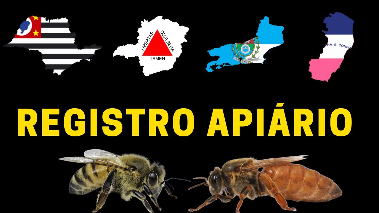 COMO registrar seu apiário e meliponário em SP MG RJ e ES