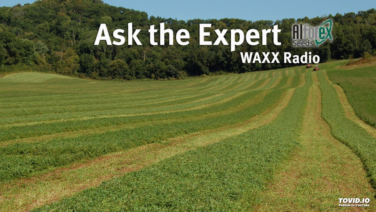 Ask The Alfalfa Expert - Top Issues for Better Alfalfa Production, 3/13//19