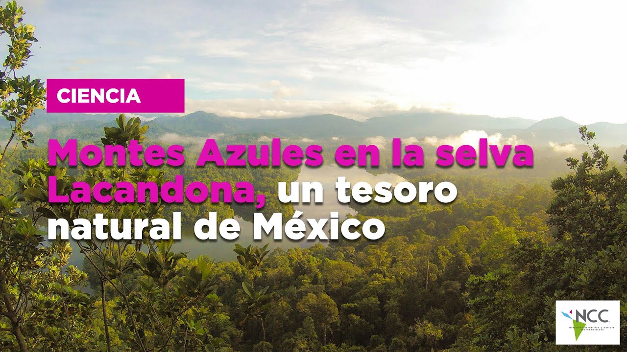 Montes Azules en la selva Lacandona, un tesoro natural de México