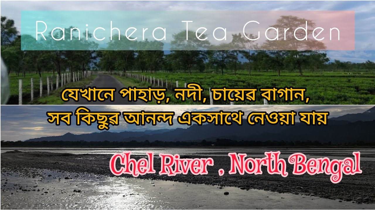 Ranichera Tea Garden 🌿🍀🍃|| Chel River 🏞️🌊|| Malbazar || North Bengal || Sutapa Ray Nandi ❤️❤️