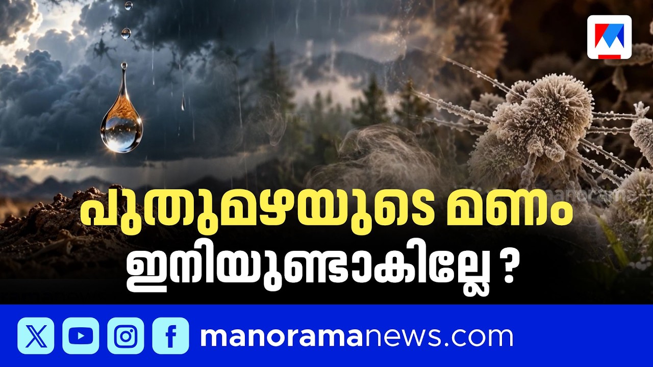 പുതുമഴയുടെ മണം മായുമോ?; പെട്രികോർ അപകടാവസ്ഥയില്&zwj;; ഞെട്ടിക്കുന്ന കാലാവസ്ഥാ മാറ്റം #rain #petrichor