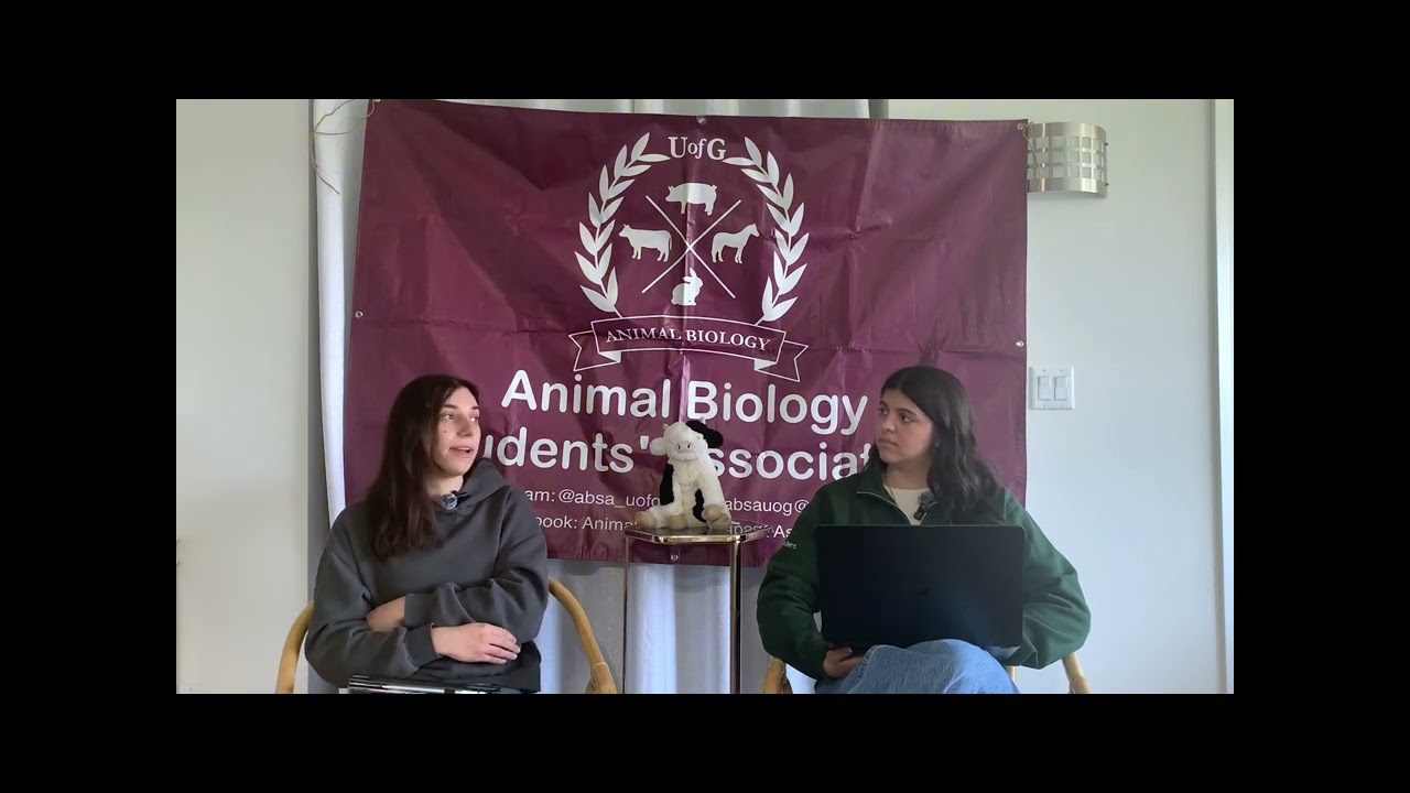 Starting Strong &ndash; Your First Year in Animal Biology (Year 1)