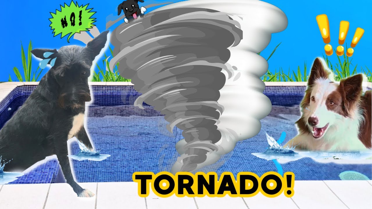 Un TORNADO en NUESTRA PISCINA! 😨 / Lana