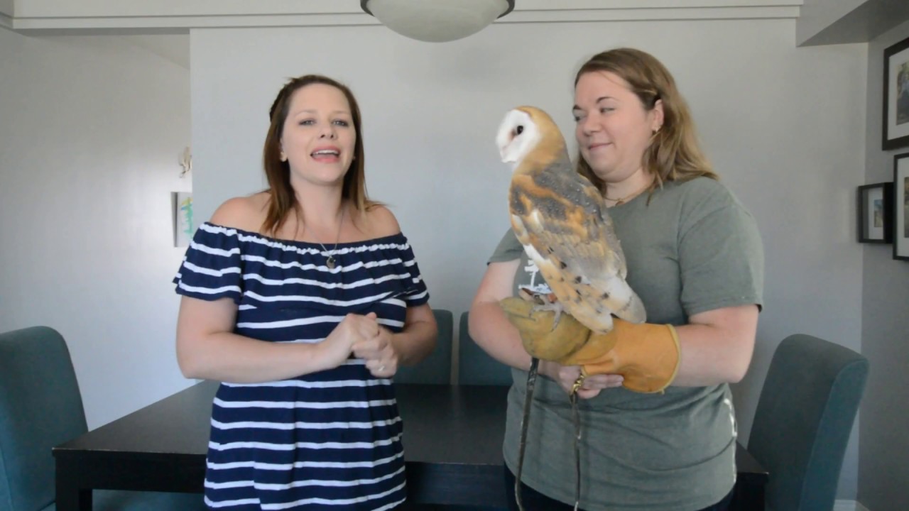 Local Business of the Week - Prairie Wildlife Rehabilitation Centre