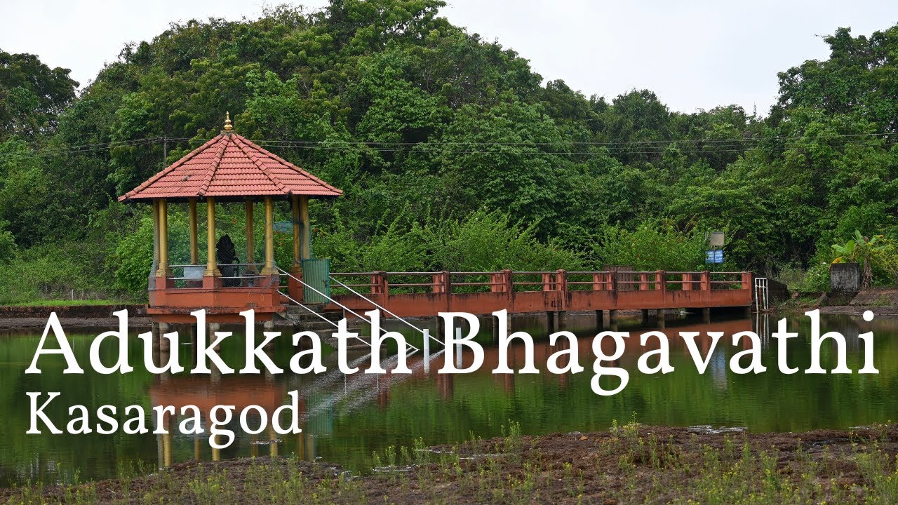മോലോത്തുങ്കാവ് അടുക്കത്ത് ഭഗവതി|ആമയൂട്ട്।Adukkath Bhagavathi Temple Kasaragod | Temples of Kerala