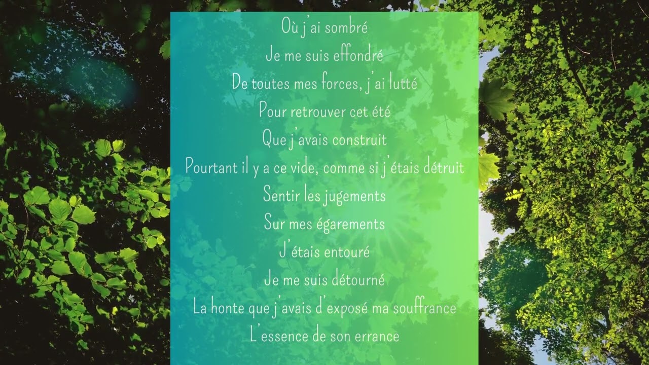 Promeneur solitaire
