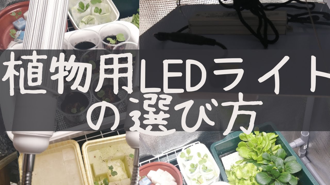 室内栽培で使用するLEDライトの選び方のご紹介