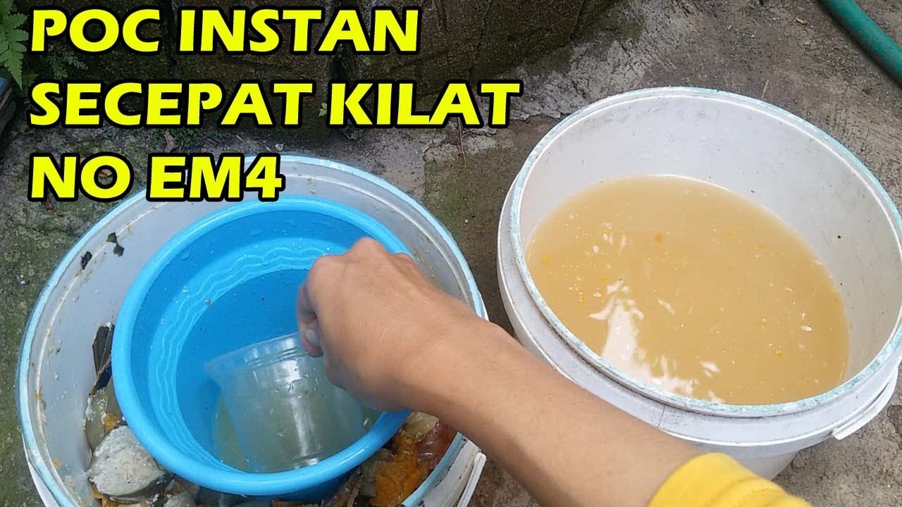 #TIS CARA BUAT PUPUK ORGANIK CAIR SUPER MUDAH NO EM4 & MOLASE | BEST LIQUID FERTILIZER FOR PLANT
