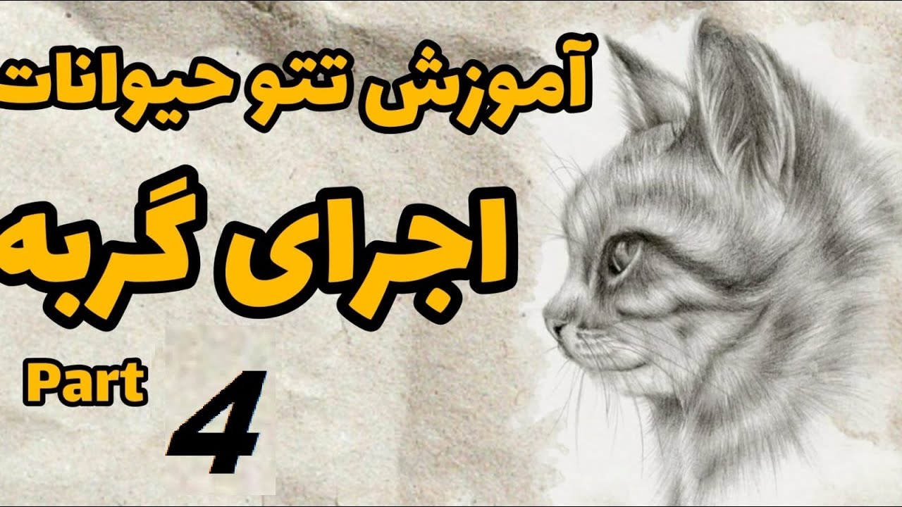 آموزش تتو موی حیوانات
