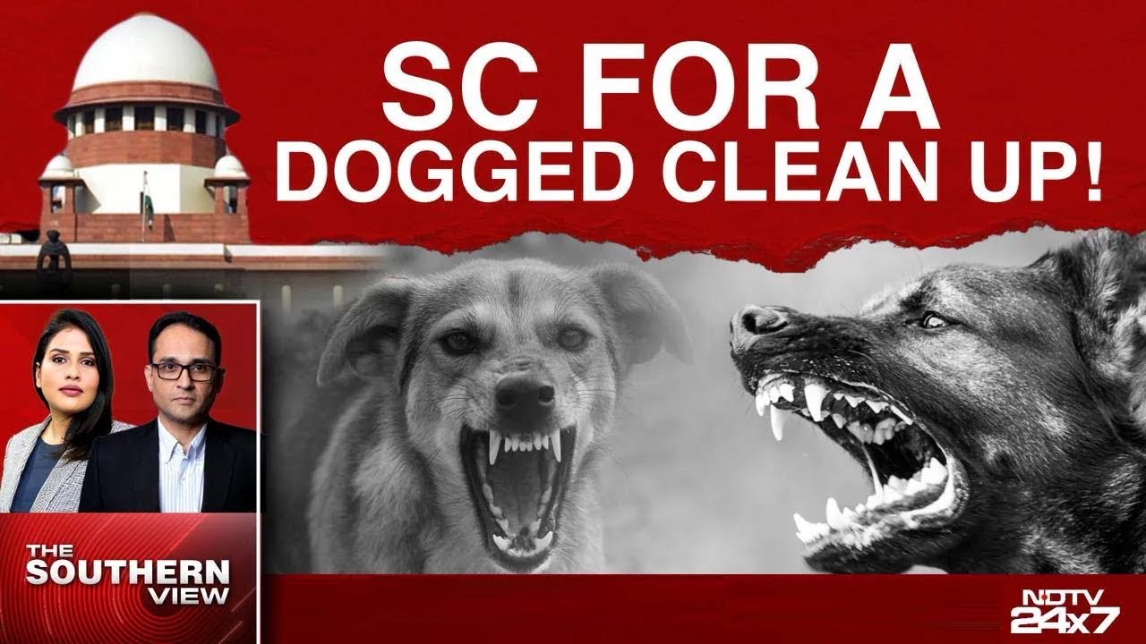 Stray Dog Attack | Big Top Court Order On Stray Dog Menace: Can All Stray Dogs Be Relocated?