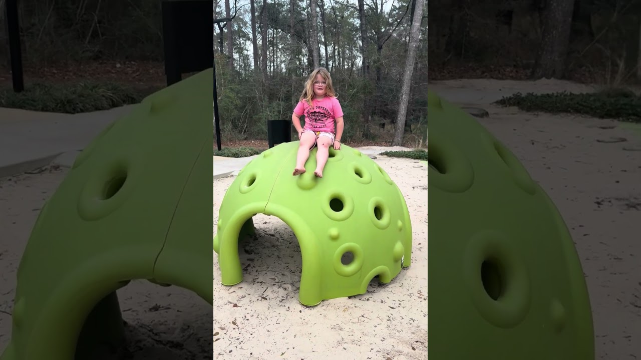 Armadillo themed park in Willis Texas 