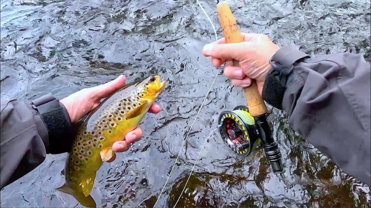 Another Day on the River Doon with Davie McPhail