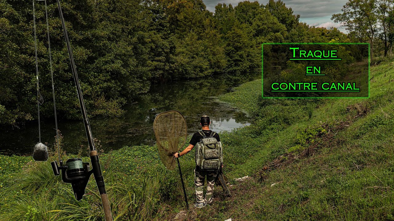 Traque sur un contre canal du Rhône - Pêche de la CARPE