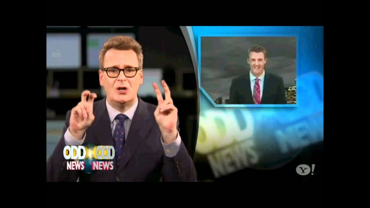 Odd News: Dog Bombs The News in Search of Fame (HD)