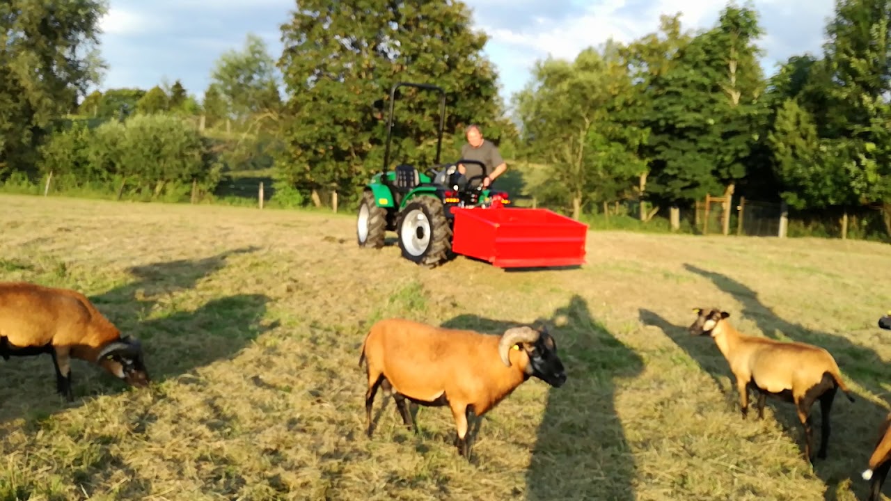 Schäfer auf 4 Räder 
