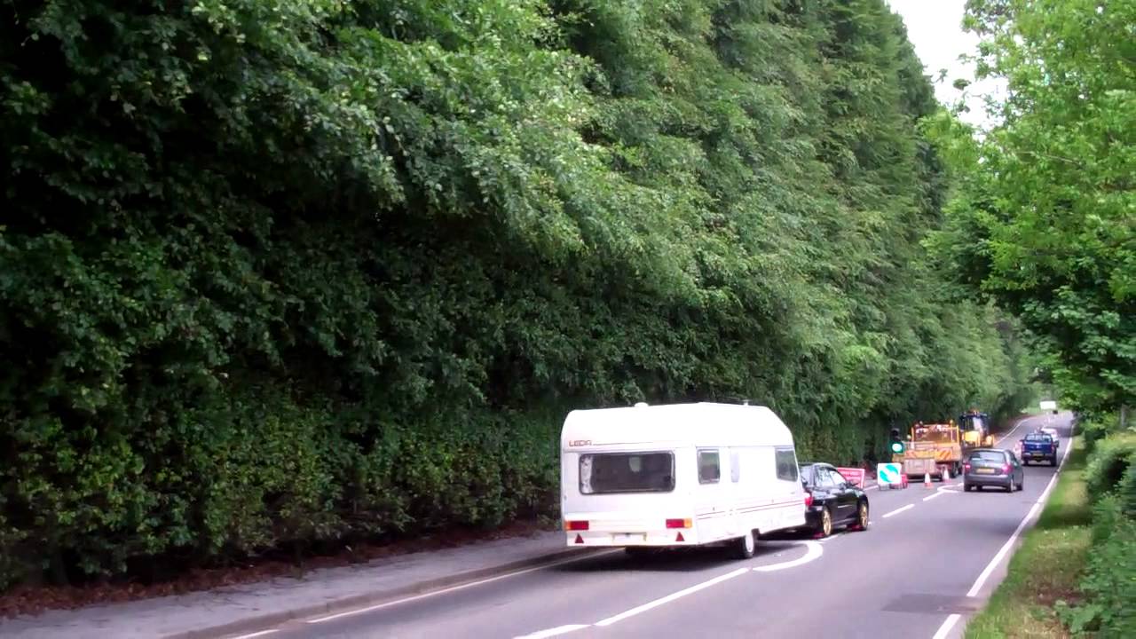 June Morning View Beech Hedge Meikleour Perthshire Scotland