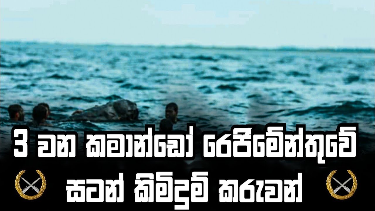 3 Commando Regiment Combat divers established beachhead in nayaru to facilitate 583 infantry