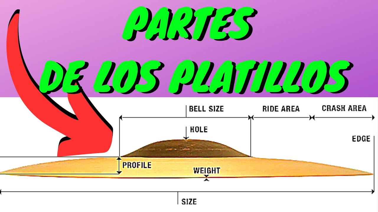 TODO Sobre los PLATILLOS!