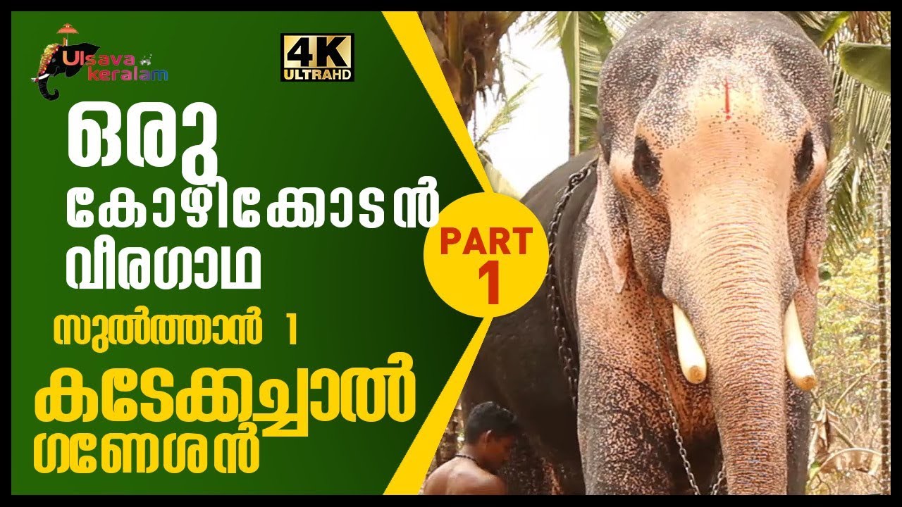 ഇവൻ തെച്ചിക്കോട്ടുകാവ് രാമചന്ദ്രൻ തന്നെ|Junior ThechikottuKavu Ramachandran|KadakachalGaneshan|EPI39