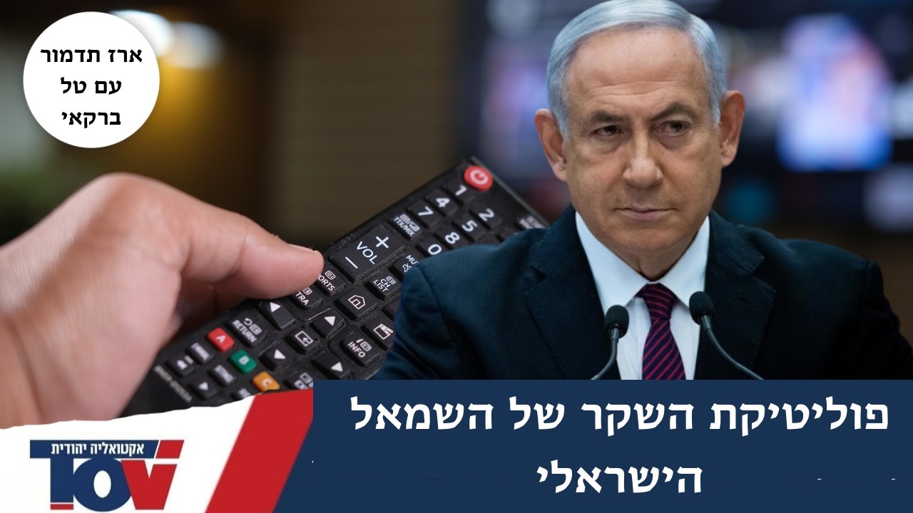ארז תדמור: 