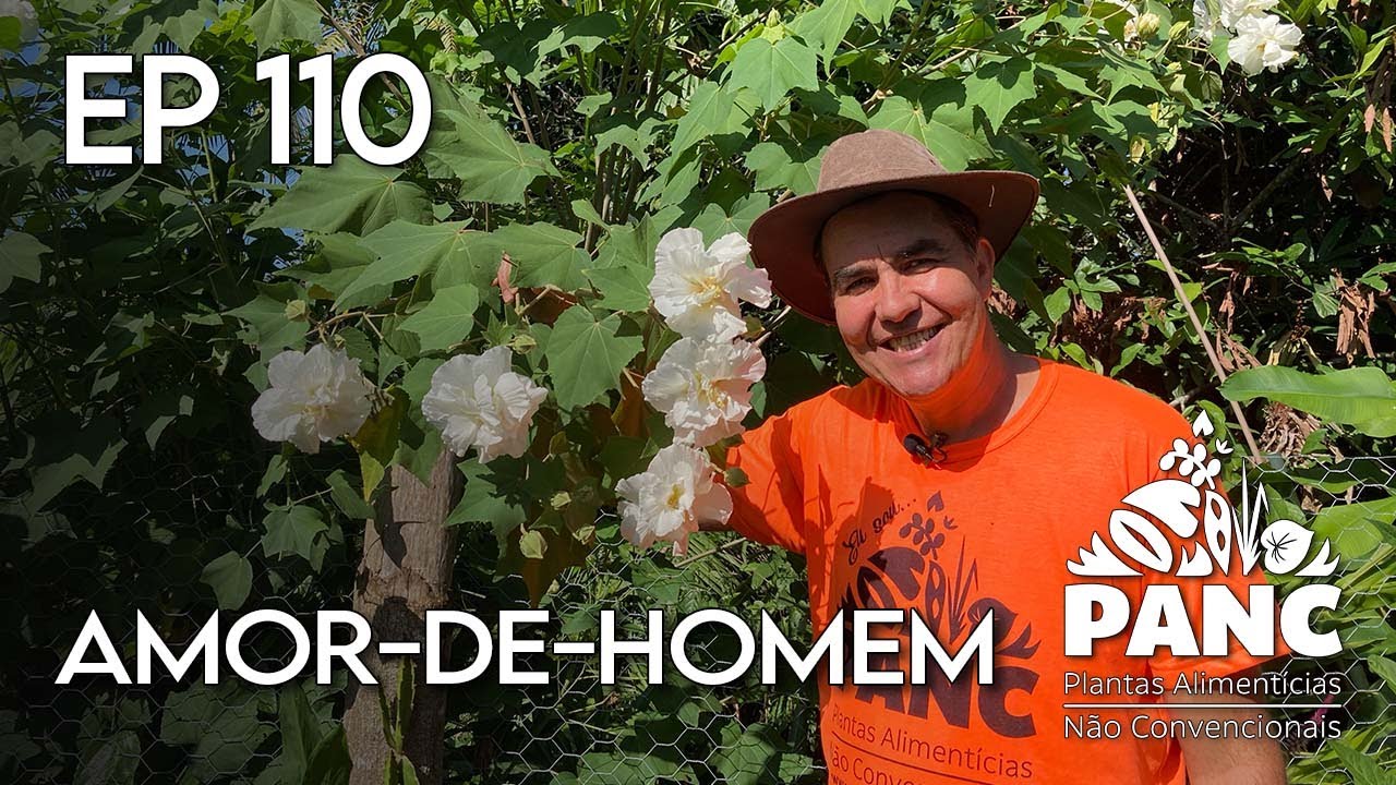 A FLOR QUE MUDA DE COR E É COMESTÍVEL - Sítio Panc | #pancaveia #valdelykinupp