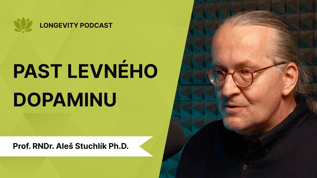 Jak přepsat své návyky? Neurobiolog o cukru, půstu a restartu mozku.
