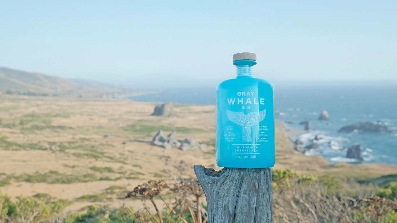 How a bottle of gin is helping to save the ocean