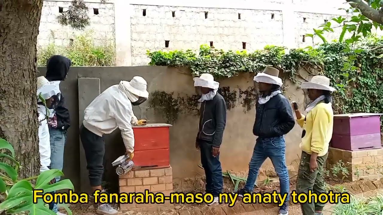 Formation apiculture/ Fihofanana fiompiana tantely