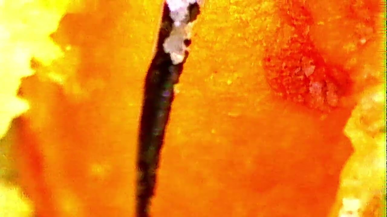2026-02-08 15-22-17