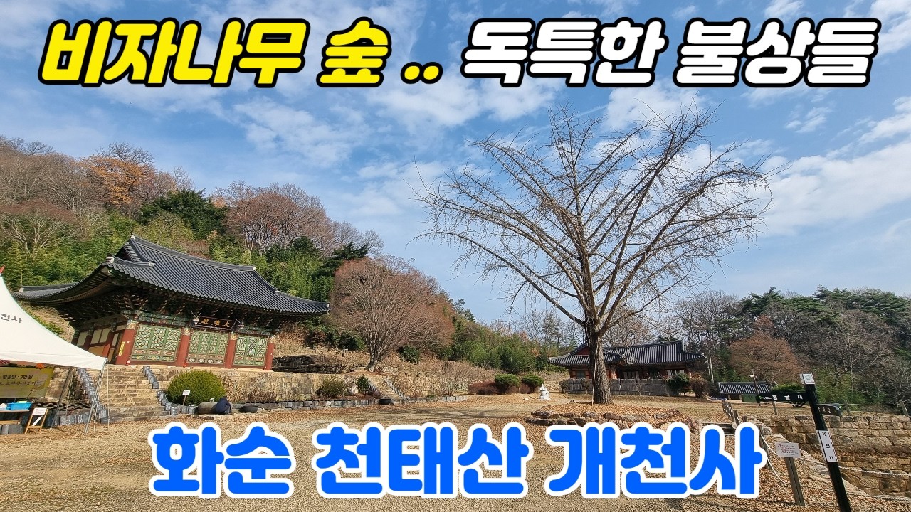 비자나무 숲이 있는 사찰의 독툭한 불상들.. 신라 때 창건하고 한국전쟁으로 소실되었으나 다시 중건한 사찰