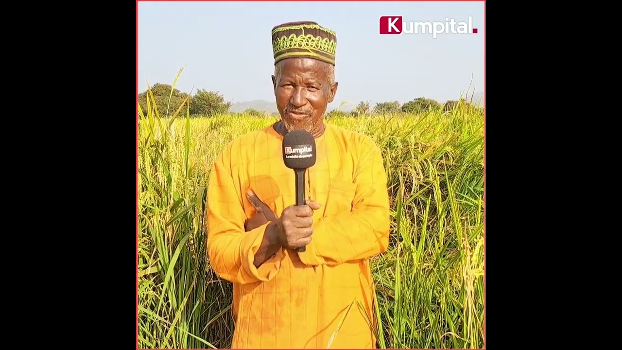 Agriculture : Nous sommes à Mamou/Dounet 🇬🇳, à La rencontre de Mr Amadou Samba SOw (agriculteur).