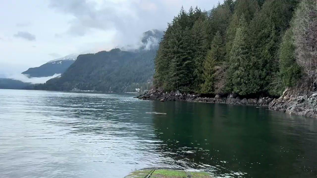 🌊 1 Hour of Pacific Ocean Waves | Incredible Nature for Deep Sleep, Relaxation & Meditation
