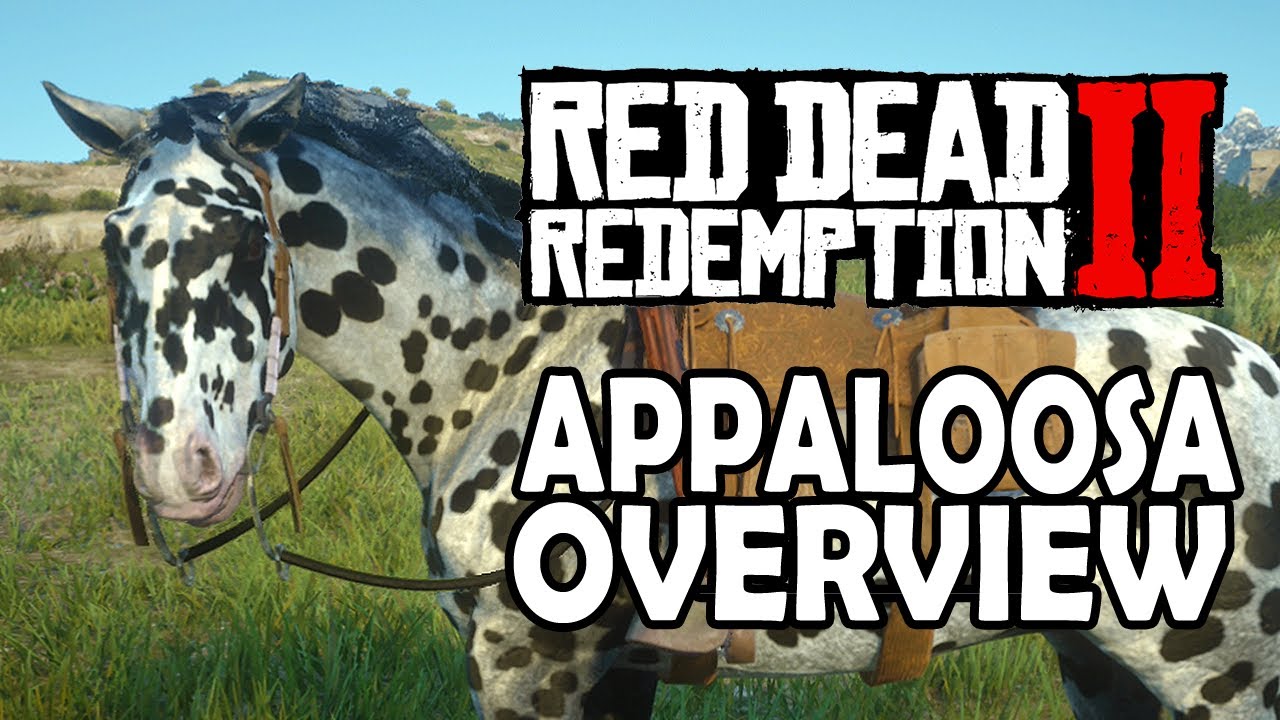 Обзор Аппалузы | Лошади Red Dead Redemption 2