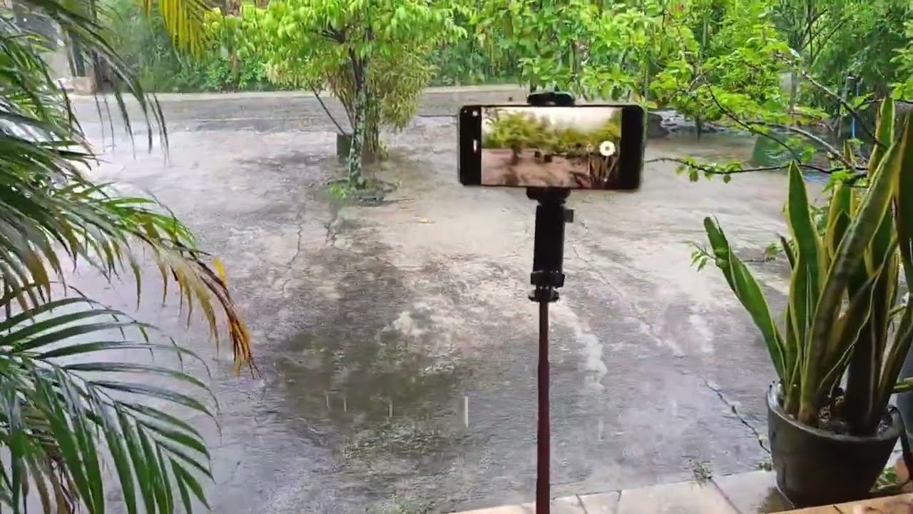Heavy rain makes for a good night's sleep 🌨️⚡ | in front of the house