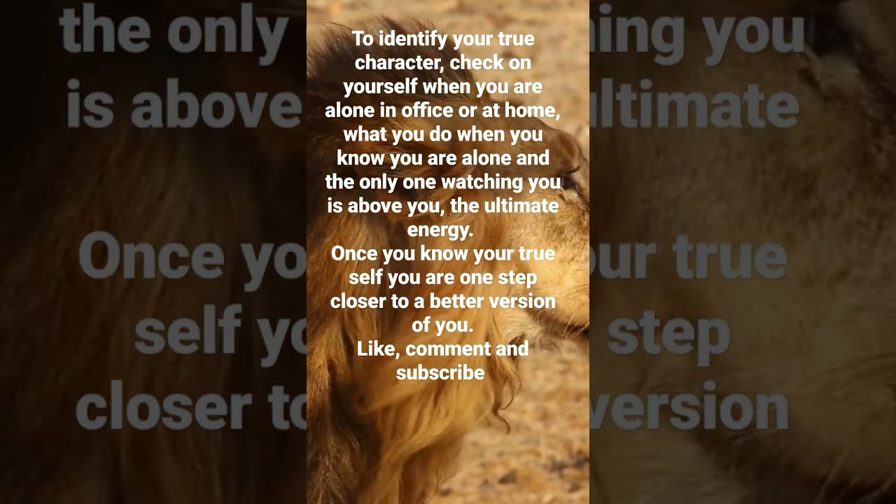 #shorts#lion#kingofjungle#learn#gk#positive#tantra#shorts#selfimprovisation#good#god#true#loveurself