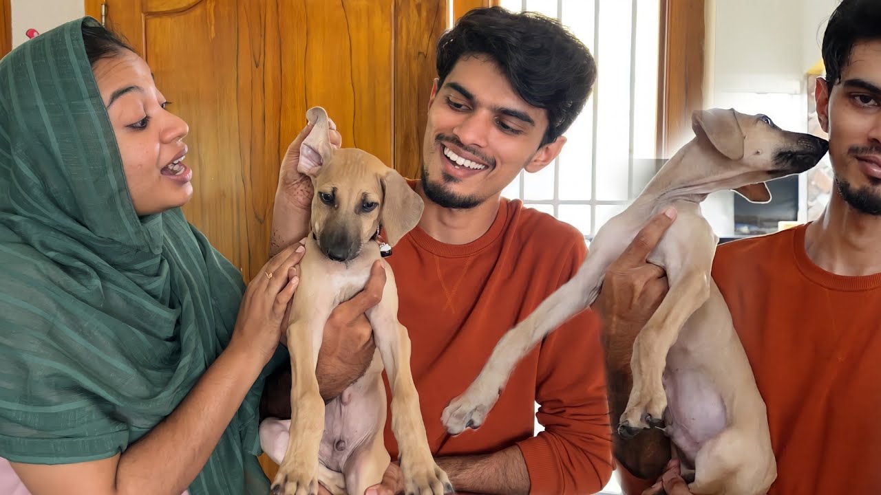 REVEALING OUR PUPPY NAME..😀