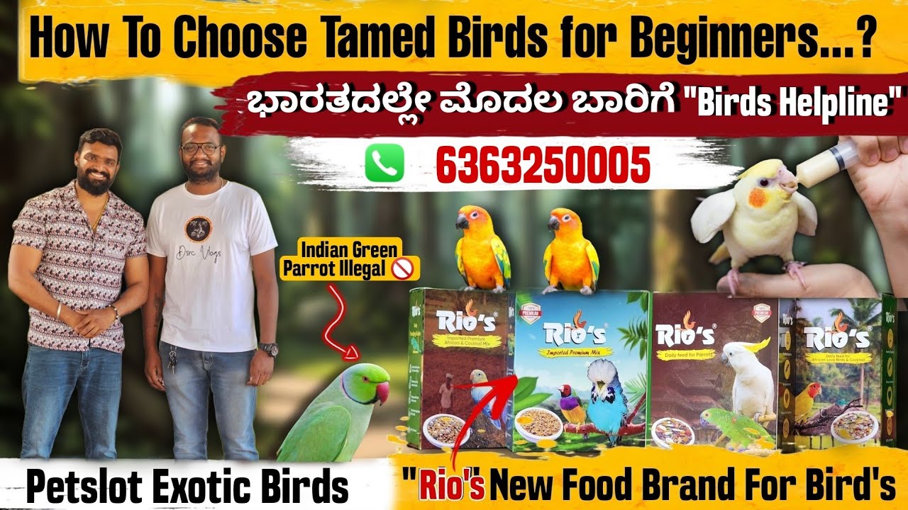 Trained Birds 🥰| First time Birds Helpline in India  Best Food For Birds | ಸಾಕು ಪಕ್ಷಿಗಳು @petslot