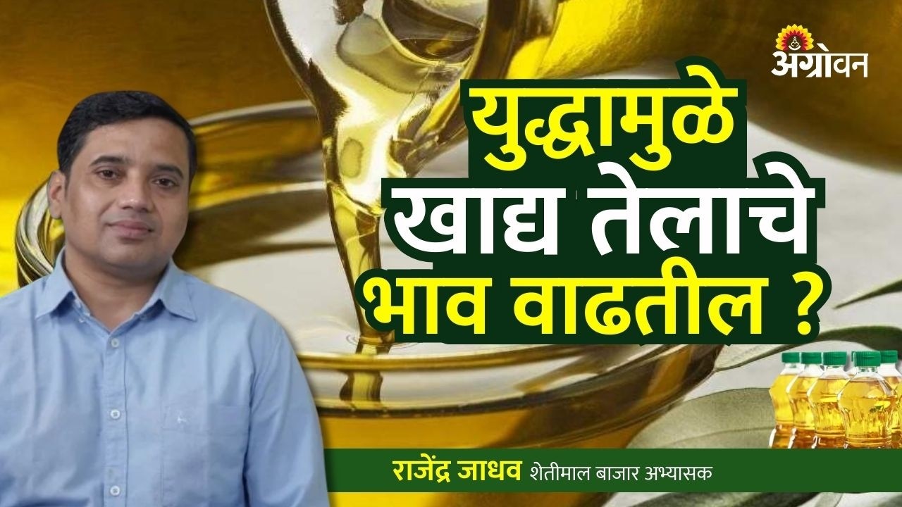 War Impact on Agri: खत, तेल, कापूस, सोयाबीन, मक्याच्या भावावर परिणाम होणार | Agrowon