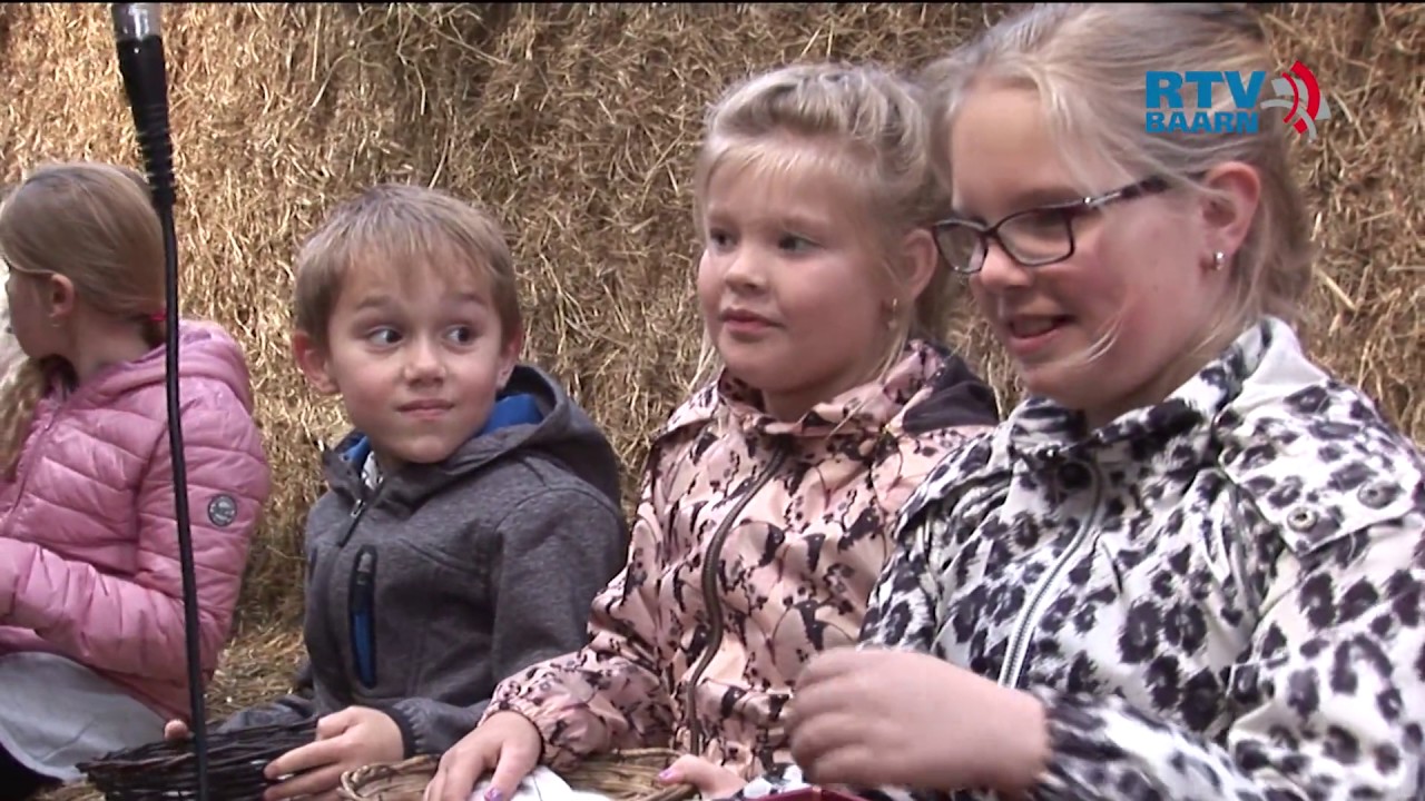 Lammetjes kijken bij boer Kuijer