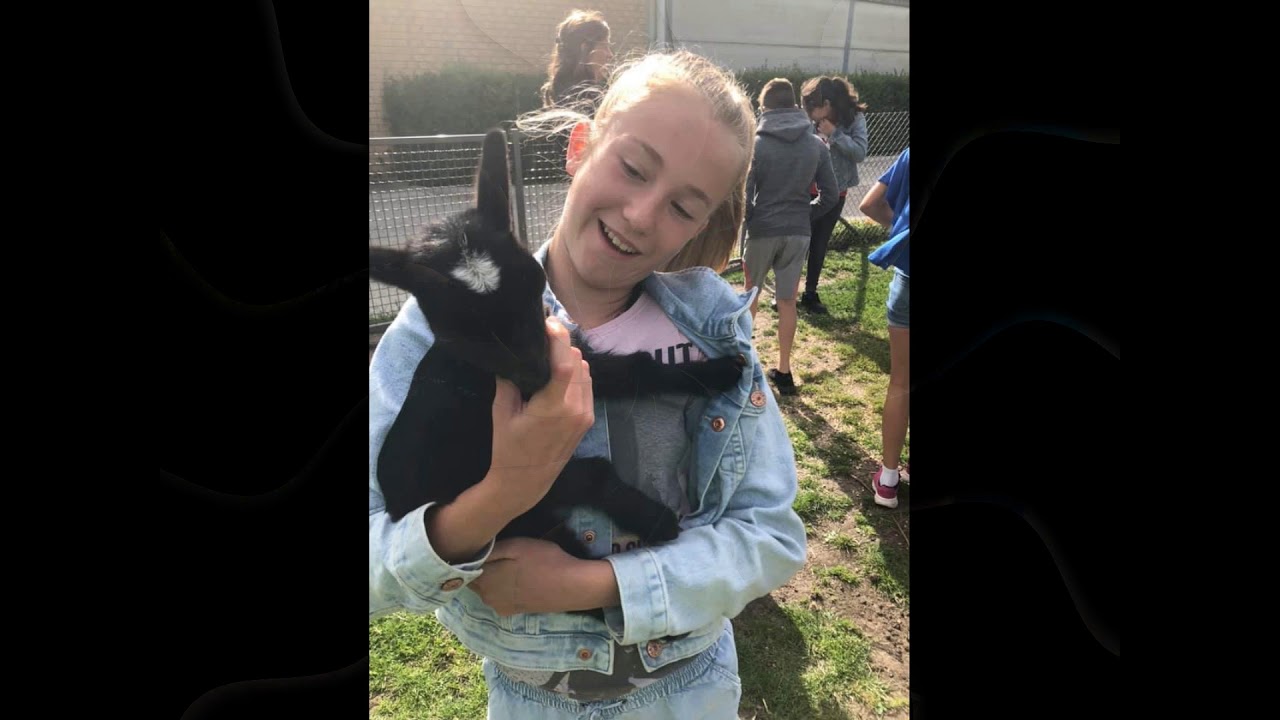 Afscheid 6de leerjaar A&B