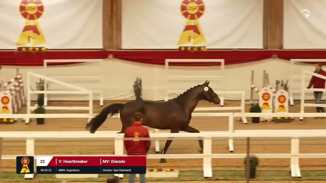 Lot 22 v. Heartbreaker / Diarado