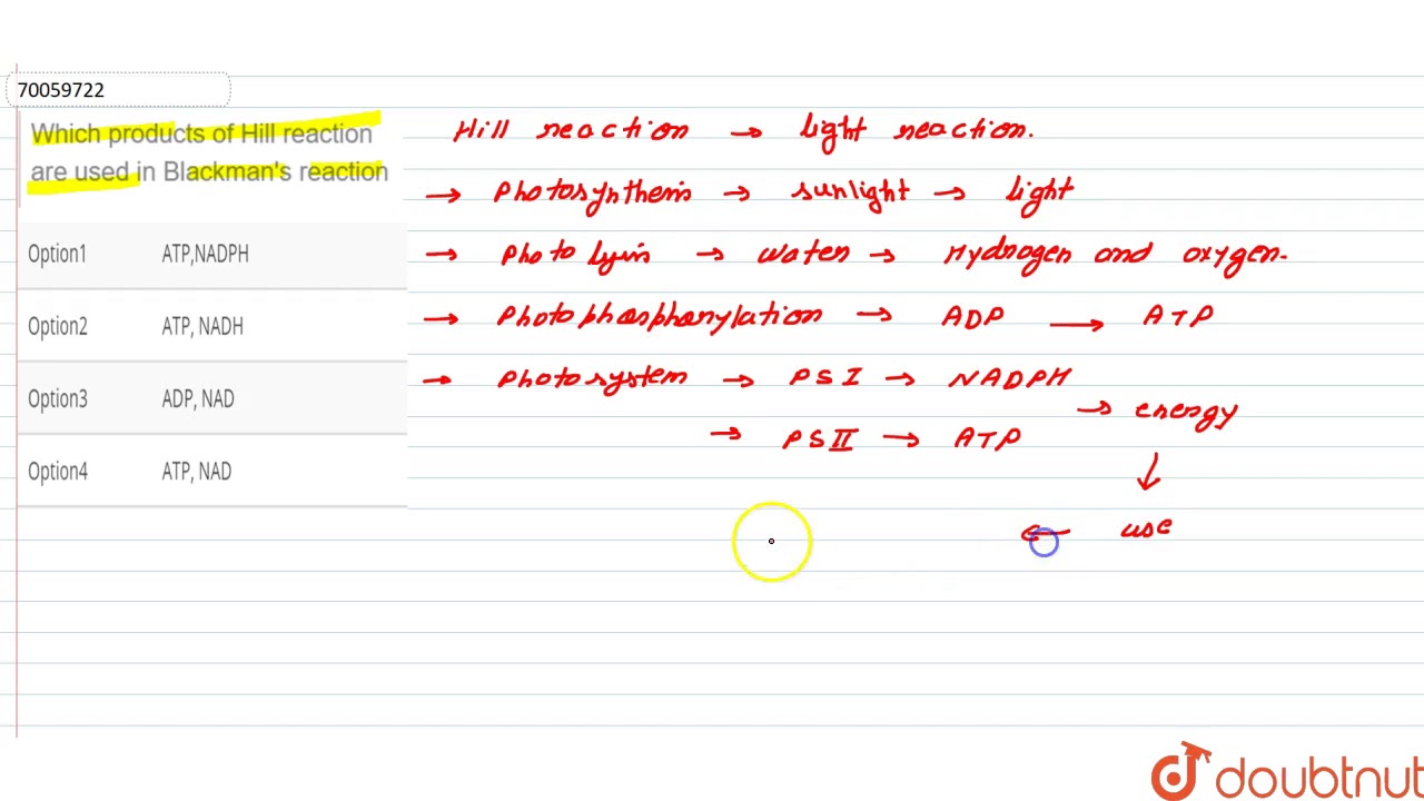 Which products of Hill reaction are used in Blackman's reaction