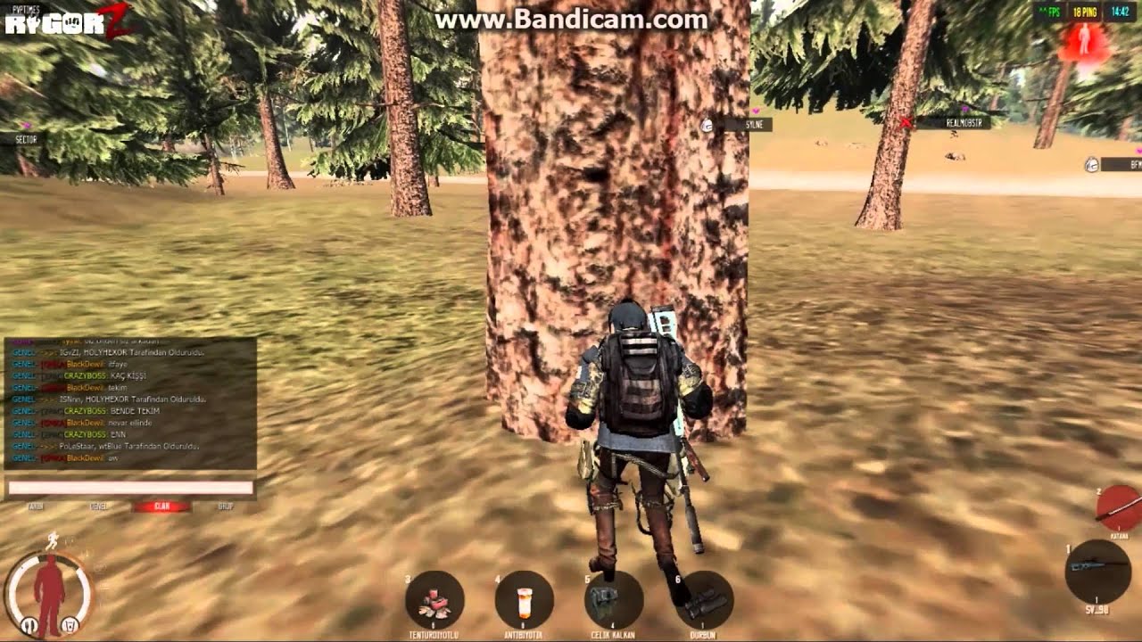 RigorZ wtBlue PvP Montage 36