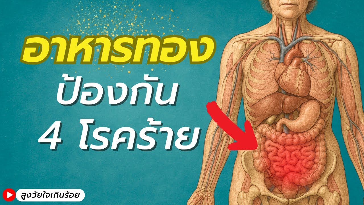 คนวัย 60+: กิน '8 อาหารทอง' ป้องกัน 4 โรคร้าย พร้อมกัน | เคล็ดลับอายุยืนสุขภาพแข็งแรง