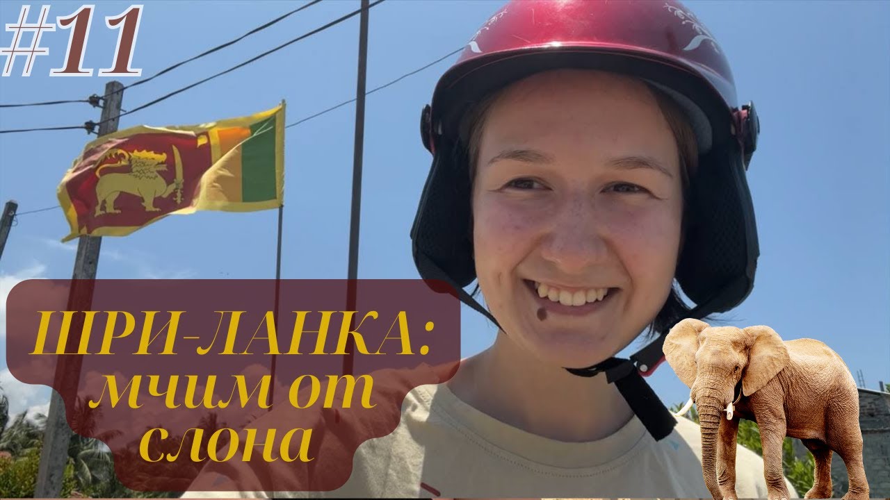 ШРИ-ЛАНКА🇱🇰 Аругам Бей. Сложности в быту. Нападение СЛОНА 🐘