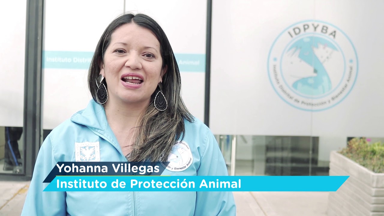 Fue un honor trabajar por Bogot&aacute; - Protecci&oacute;n Animal