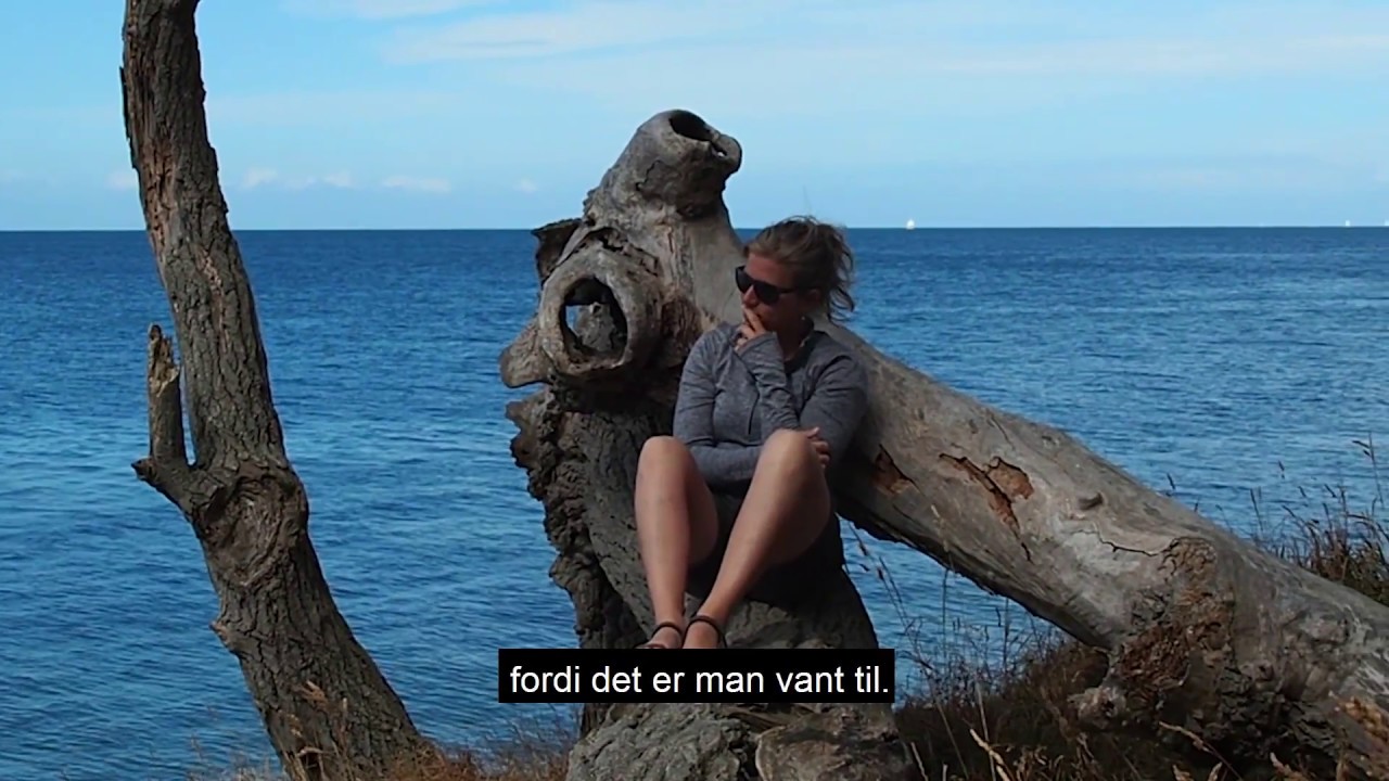 Langeland - Ødysséen